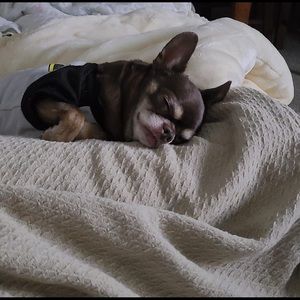 LOUIS VUITTON VICTOIRE  - HOLD TRADE 😍❤️